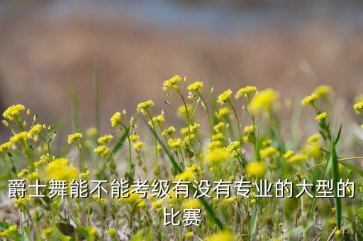 爵士舞能不能考级有没有专业的大型的比赛
