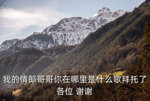 我的情郎哥哥你在哪里是什么歌拜托了各位 谢谢
