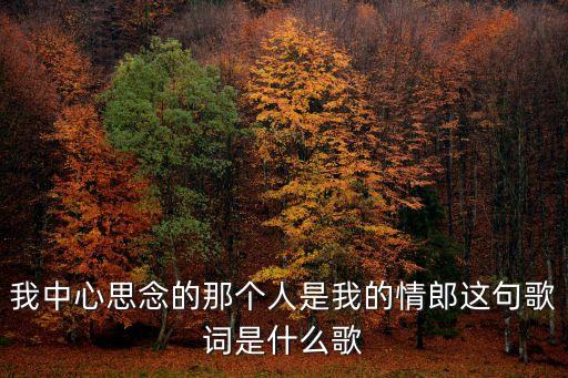 我中心思念的那个人是我的情郎这句歌词是什么歌