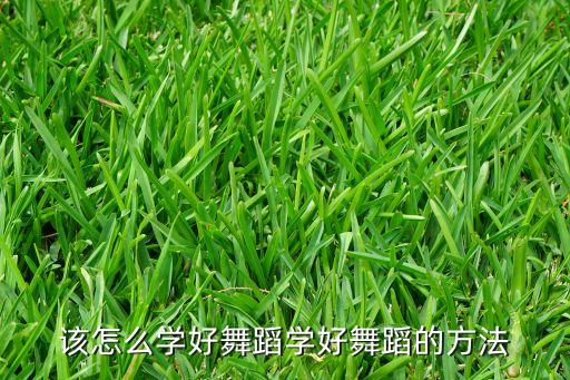 该怎么学好舞蹈学好舞蹈的方法