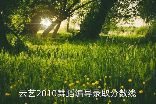 云艺2010舞蹈编导录取分数线