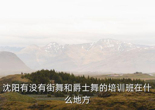 沈阳哪里有舞蹈培训班，沈阳浑南什么地方有街舞班 最好是夜班