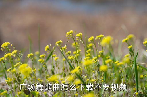 广场舞中国歌最美怎么下载，求王广成广场舞中国美的mp3
