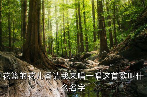 花篮的花儿香请我来唱一唱这首歌叫什么名字
