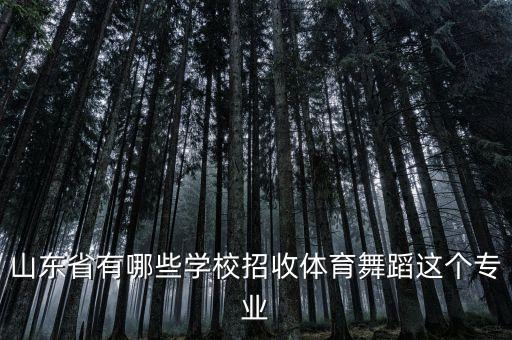 山东省有哪些学校招收体育舞蹈这个专业