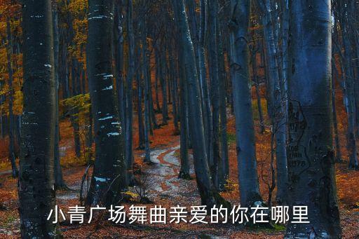 小青广场舞曲亲爱的你在哪里