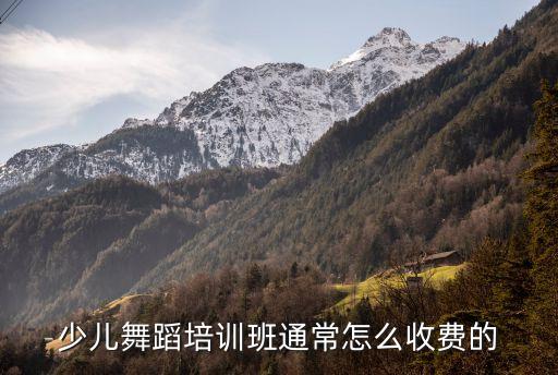 少儿舞蹈培训班通常怎么收费的