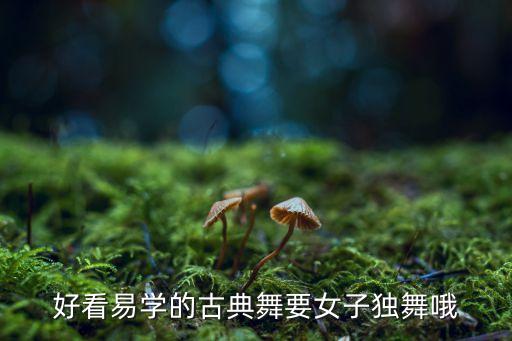 好看易学的古典舞要女子独舞哦