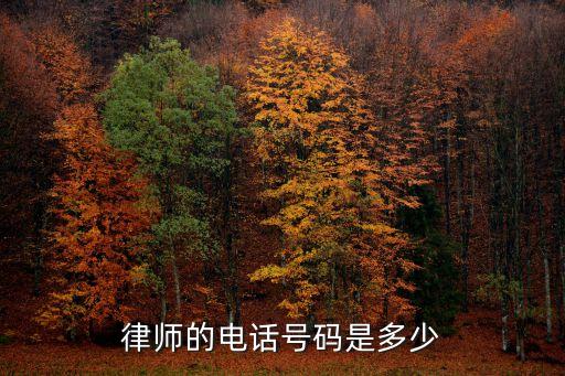 律师电话 联系方式，律师的电话号码是多少