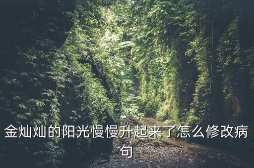 金灿灿的阳光慢慢升起来了怎么修改病句