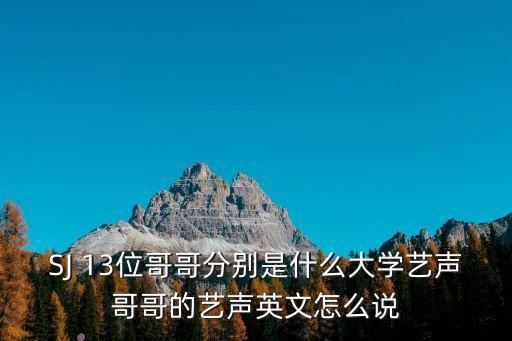 SJ 13位哥哥分别是什么大学艺声哥哥的艺声英文怎么说