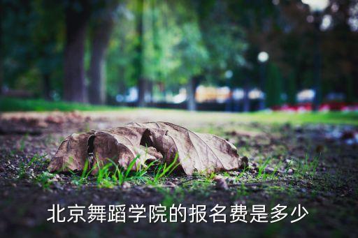 北京舞蹈学院的报名费是多少