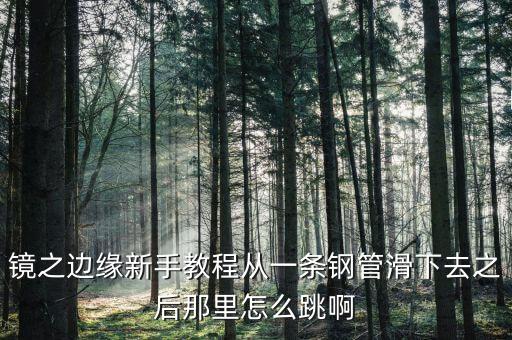 镜之边缘新手教程从一条钢管滑下去之后那里怎么跳啊