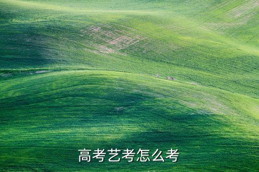 高考艺考怎么考