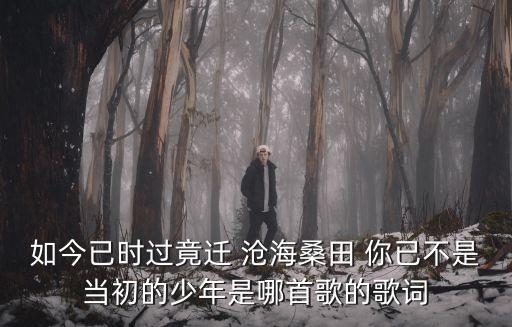如今已时过竟迁 沧海桑田 你已不是当初的少年是哪首歌的歌词