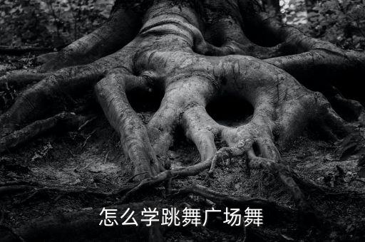 怎么学跳舞广场舞
