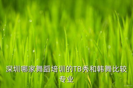 深圳哪家舞蹈培训的TB秀和韩舞比较专业