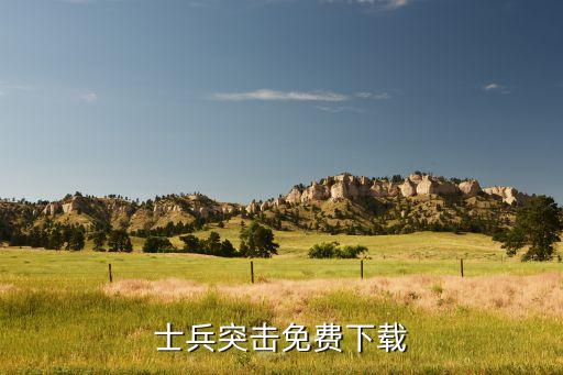 摸摸鱼下载正版免费下载免广告，士兵突击免费下载