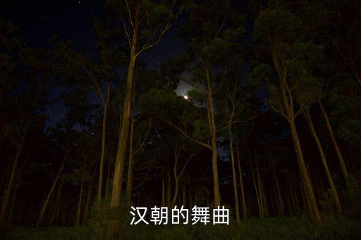 汉朝的舞曲