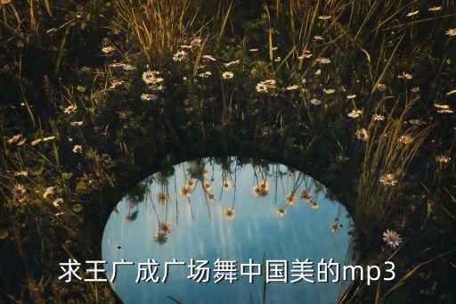 求王广成广场舞中国美的mp3