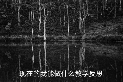 现在的我能做什么教学反思
