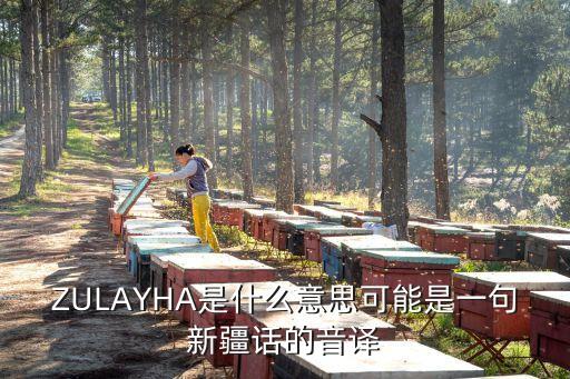 ZULAYHA是什么意思可能是一句新疆话的音译