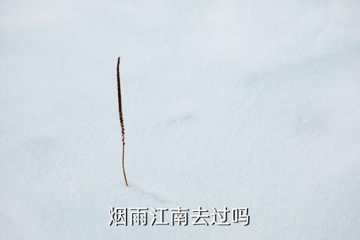 烟雨江南去过吗