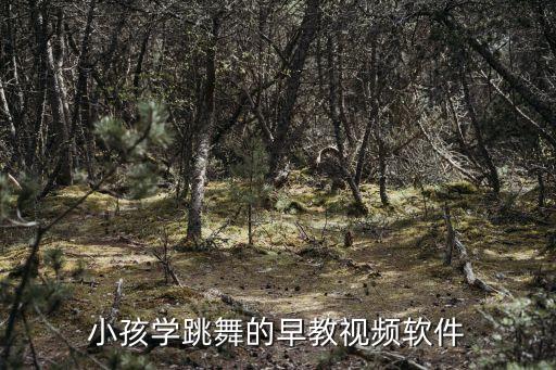 小孩学跳舞的早教视频软件