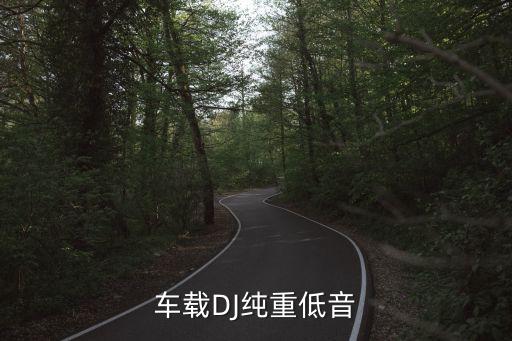 车载DJ纯重低音
