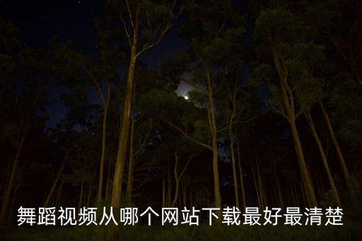 舞蹈视频从哪个网站下载最好最清楚