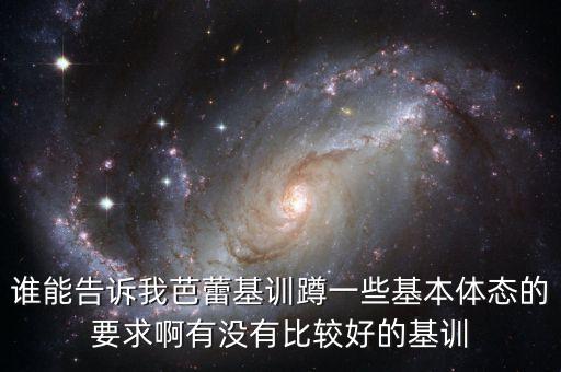 谁能告诉我芭蕾基训蹲一些基本体态的要求啊有没有比较好的基训