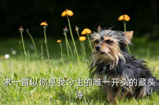 求一首以你是我今生的唯一开头的藏头诗