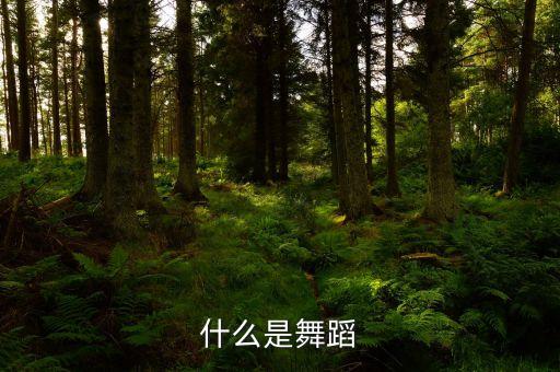 舞蹈是中华民族的什么，什么是舞蹈