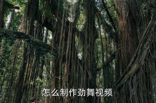 怎么制作劲舞视频