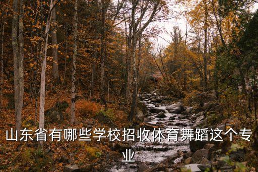 山东省有哪些学校招收体育舞蹈这个专业