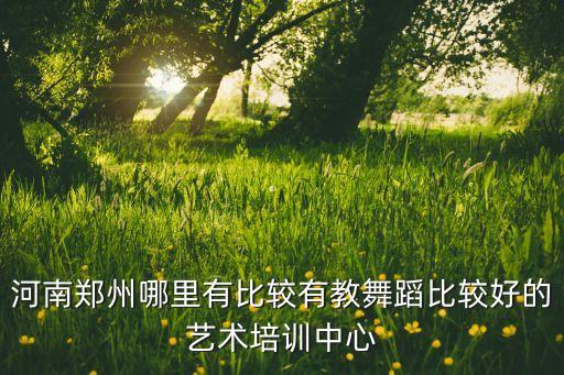 河南郑州哪里有比较有教舞蹈比较好的艺术培训中心