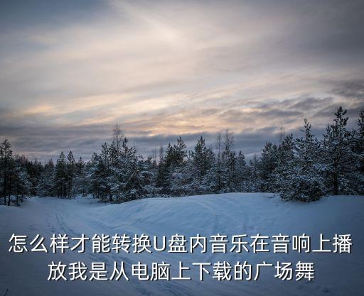 怎么样才能转换U盘内音乐在音响上播放我是从电脑上下载的广场舞