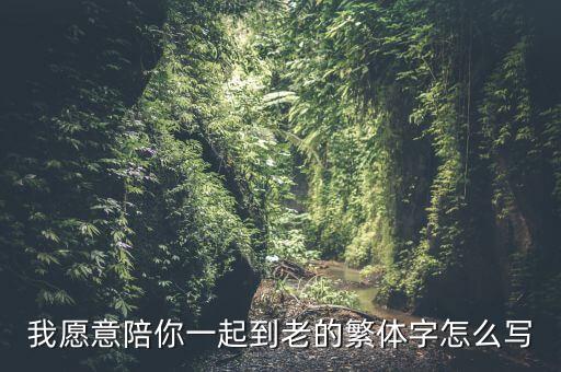 我愿意陪着你一起到老，歌词最后一句我愿意陪你到老叫什么歌