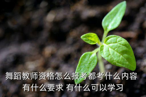 舞蹈教师资格怎么报考都考什么内容 有什么要求 有什么可以学习