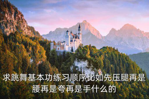 求跳舞基本功练习顺序比如先压腿再是腰再是夸再是手什么的