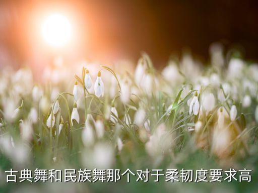 古典舞和民族舞那个对于柔韧度要求高