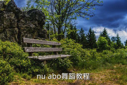 黑桃a舞蹈视频教学完整版，nu abo舞蹈教程