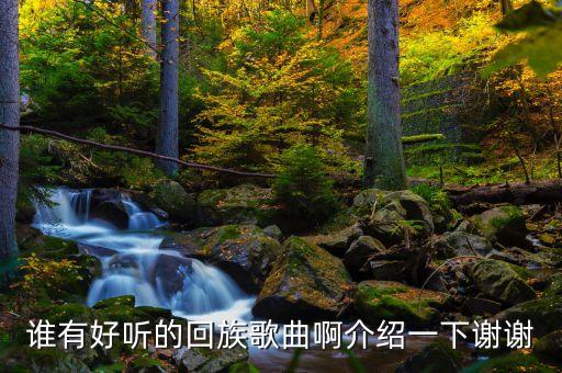 什么回族舞蹈音乐好听，求回族舞蹈 剪花花  纯配乐