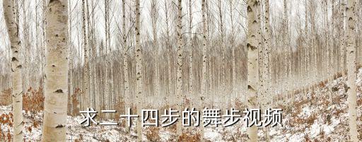 求二十四步的舞步视频