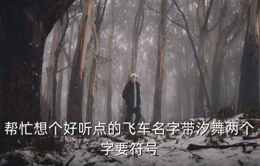 帮忙想个好听点的飞车名字带汐舞两个字要符号