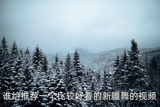 谁给推荐一个比较好看的新疆舞的视频