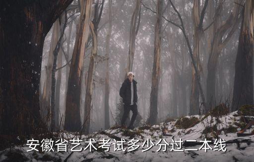 安徽省艺术考试多少分过二本线