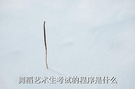 舞蹈艺术生考试的程序是什么