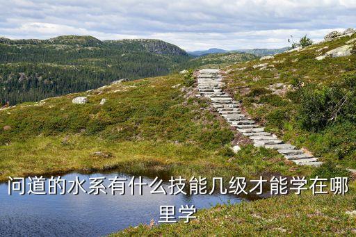 水息形态在哪里学，天龙八部的武魂要怎么学成水属性