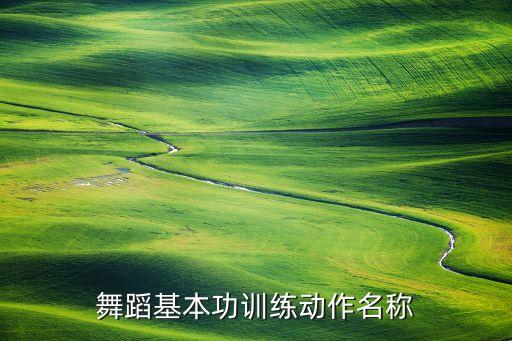 舞蹈基本功训练动作名称